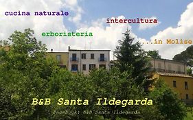 B&B Santa Ildegarda