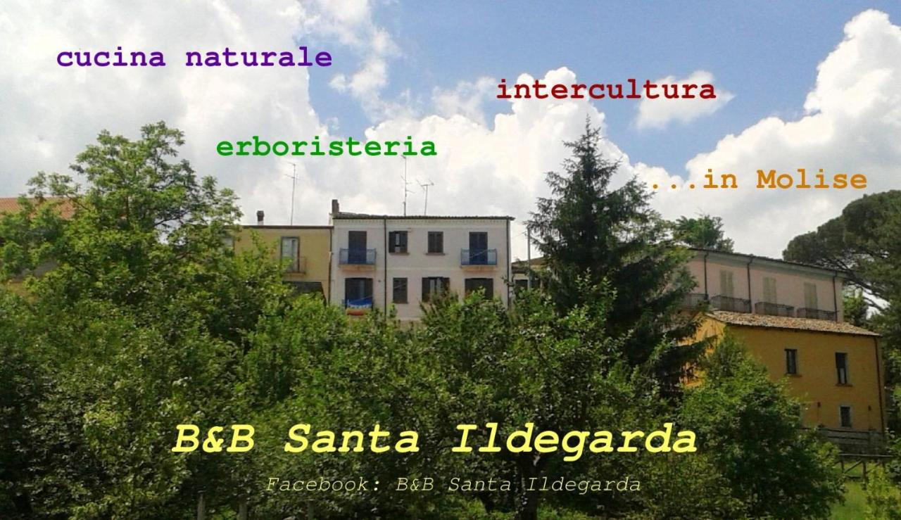B&B Santa Ildegarda Cantalupo nel Sannio Room photo